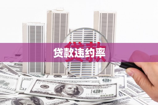 巩留贷款违约率