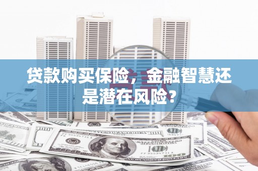 巩留贷款购买保险，金融智慧还是潜在风险？
