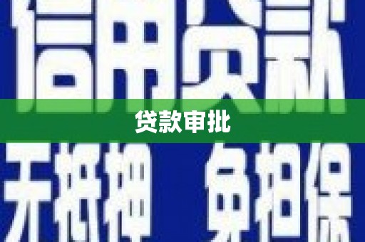 巩留贷款审批
