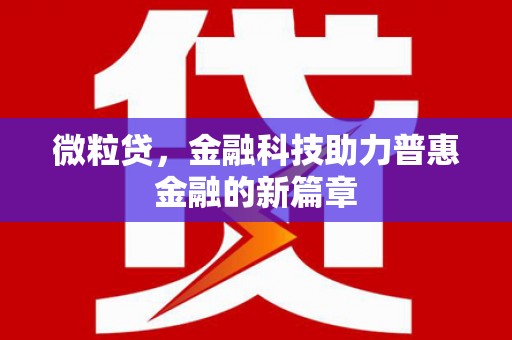 巩留微粒贷，金融科技助力普惠金融的新篇章