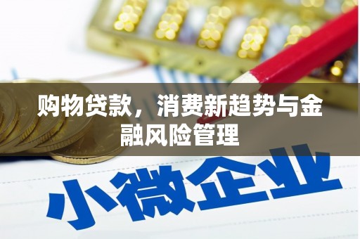 巩留购物贷款，消费新趋势与金融风险管理