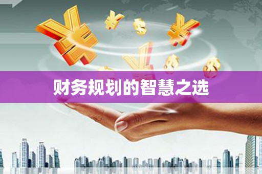 巩留财务规划的智慧之选
