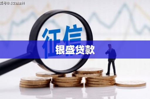 巩留银盛贷款