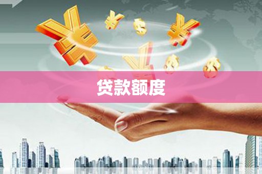巩留贷款额度