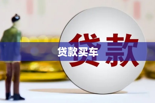 巩留贷款买车