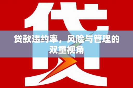 巩留贷款违约率，风险与管理的双重视角