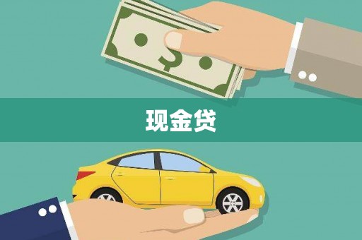 巩留现金贷
