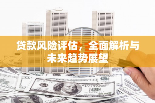 巩留贷款风险评估，全面解析与未来趋势展望