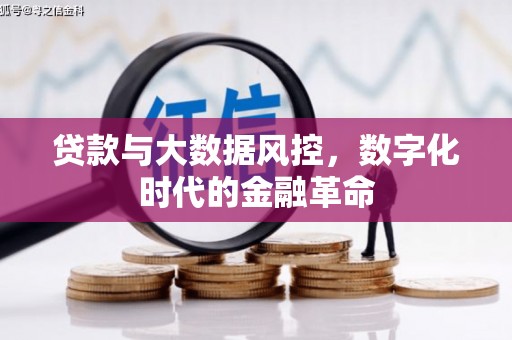 巩留贷款与大数据风控，数字化时代的金融革命