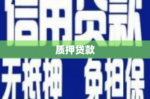 巩留质押贷款