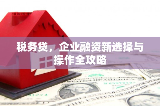 巩留税务贷，企业融资新选择与操作全攻略