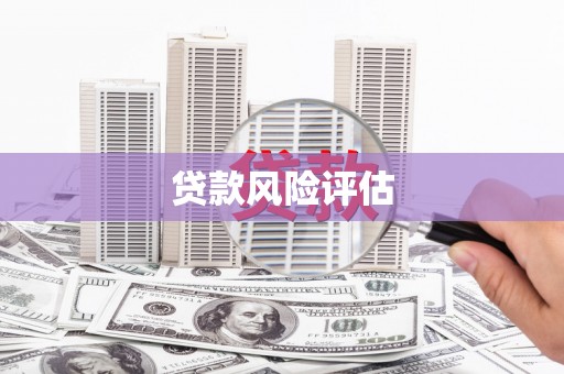 巩留贷款风险评估