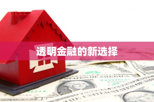 巩留透明金融的新选择