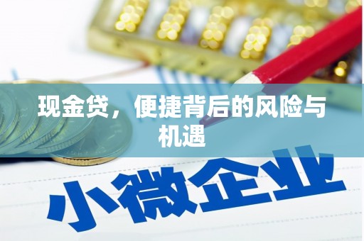 巩留现金贷，便捷背后的风险与机遇