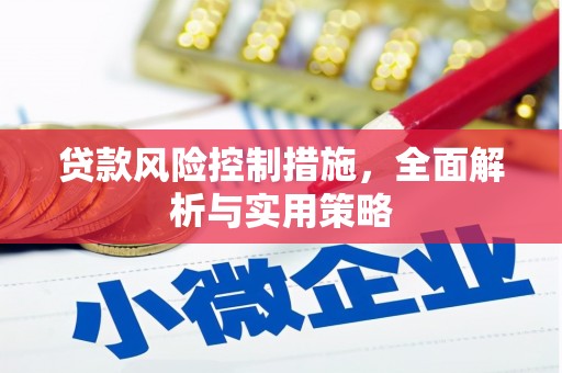 巩留贷款风险控制措施，全面解析与实用策略