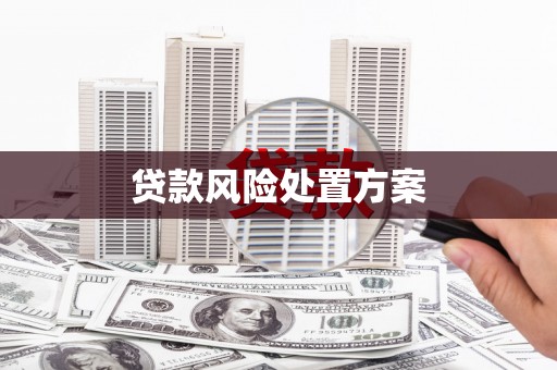 巩留贷款风险处置方案