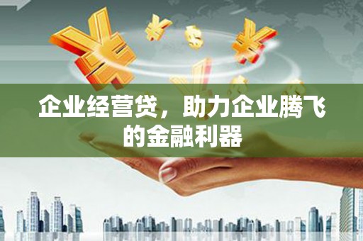 巩留企业经营贷，助力企业腾飞的金融利器