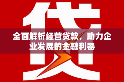 巩留全面解析经营贷款，助力企业发展的金融利器