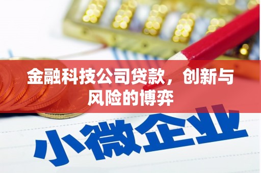 巩留金融科技公司贷款，创新与风险的博弈