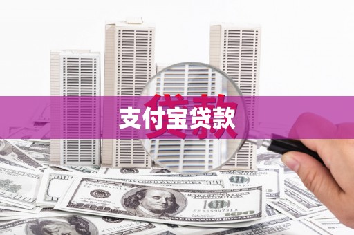 巩留支付宝贷款
