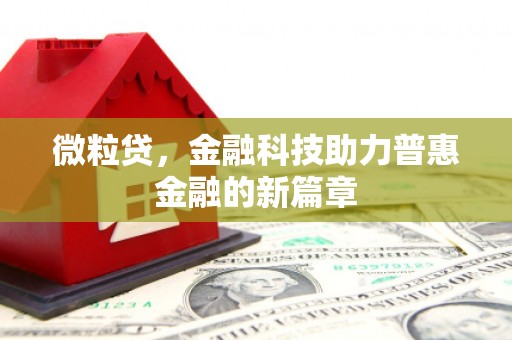 巩留微粒贷，金融科技助力普惠金融的新篇章