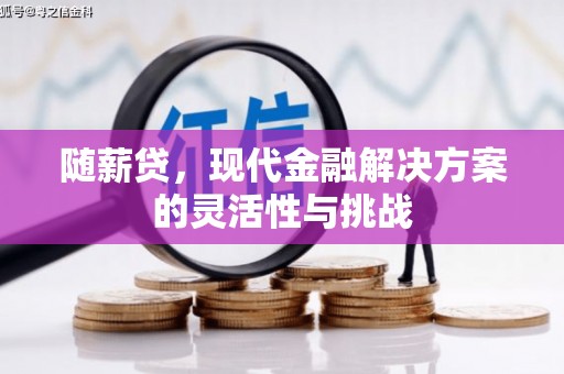 巩留随薪贷，现代金融解决方案的灵活性与挑战