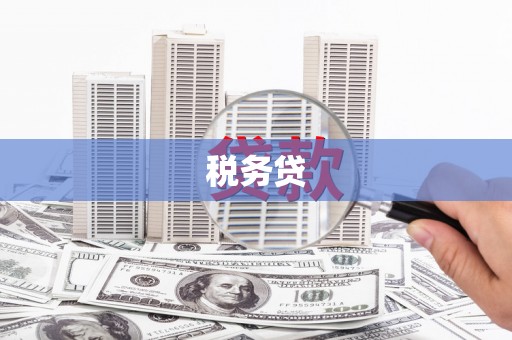 巩留税务贷