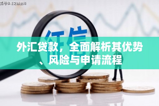 巩留外汇贷款，全面解析其优势、风险与申请流程