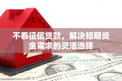 巩留不看征信贷款，解决短期资金需求的灵活选择