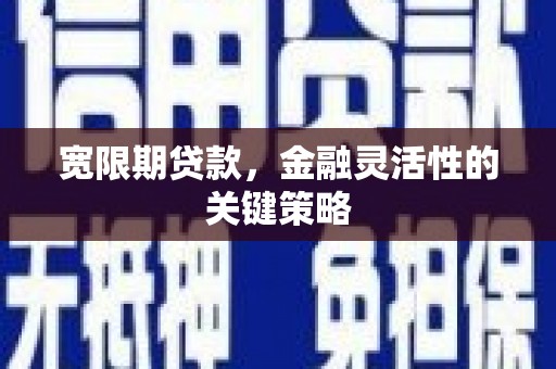 巩留宽限期贷款，金融灵活性的关键策略