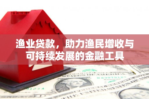 巩留渔业贷款，助力渔民增收与可持续发展的金融工具