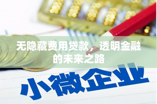 巩留无隐藏费用贷款，透明金融的未来之路