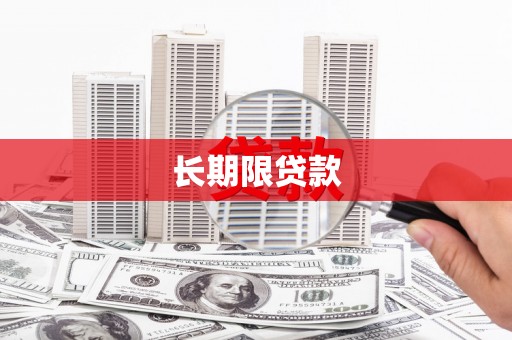巩留长期限贷款