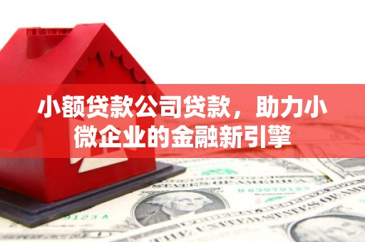 巩留小额贷款公司贷款，助力小微企业的金融新引擎