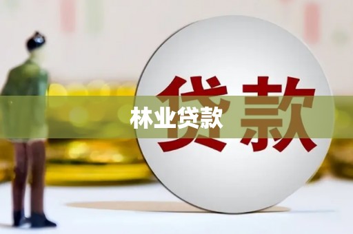 巩留林业贷款