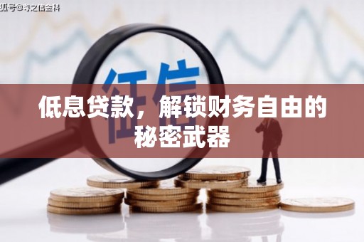 巩留低息贷款，解锁财务自由的秘密武器