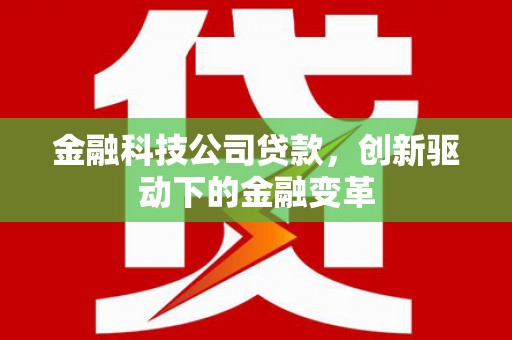 巩留金融科技公司贷款，创新驱动下的金融变革