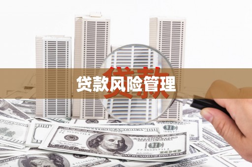 巩留贷款风险管理