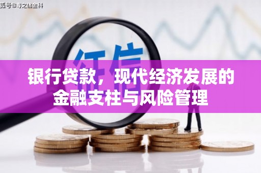 巩留银行贷款，现代经济发展的金融支柱与风险管理