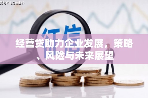 巩留经营贷助力企业发展，策略、风险与未来展望