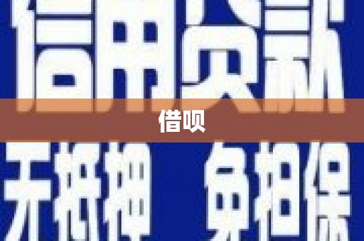 巩留借呗