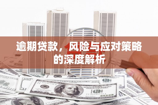 巩留逾期贷款，风险与应对策略的深度解析