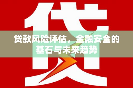 巩留贷款风险评估，金融安全的基石与未来趋势