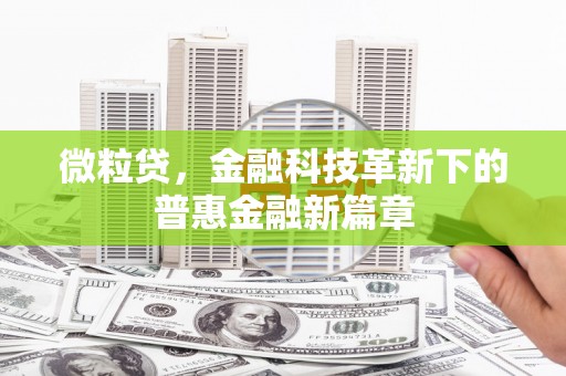 巩留微粒贷，金融科技革新下的普惠金融新篇章