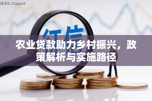 巩留农业贷款助力乡村振兴，政策解析与实施路径