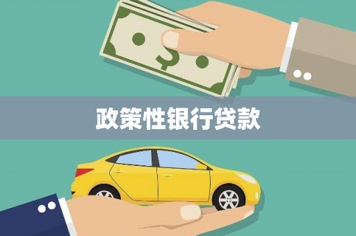 巩留政策性银行贷款