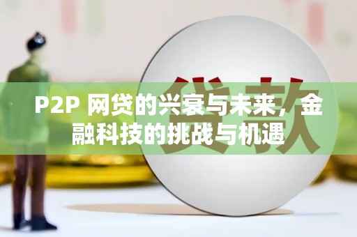 巩留P2P 网贷的兴衰与未来，金融科技的挑战与机遇
