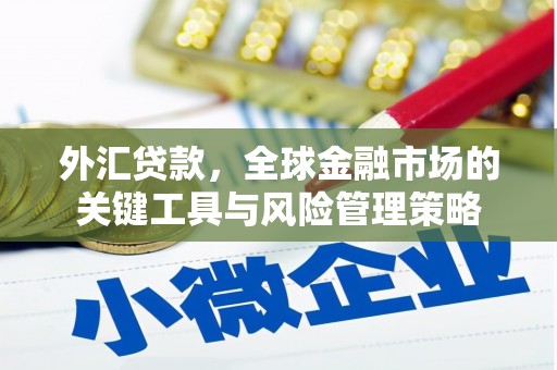 巩留外汇贷款，全球金融市场的关键工具与风险管理策略