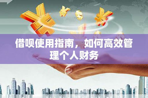 巩留借呗使用指南，如何高效管理个人财务