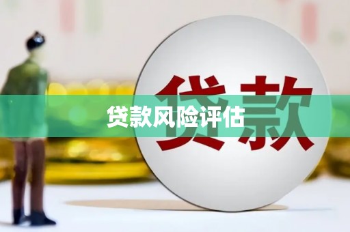 巩留贷款风险评估
